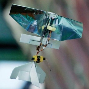 Mokslininkai sukūrė kiborgo laumžirgį