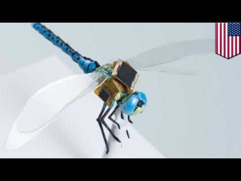นักวิทยาศาสตร์ได้สร้างแมลงปอหุ่นยนต์