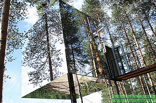 A világ 10 legjobb fa szállodája