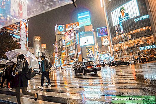 10 صور رائعة من طوكيو التي تعيد حب الحياة والسفر