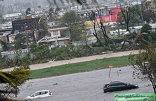 10 لقطات رهيبة عن كيفية تدمير إعصار ماريا بورتوريكو