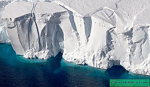Najbolj skrivnostna celina planeta: 10 zanimivih dejstev o Antarktiki