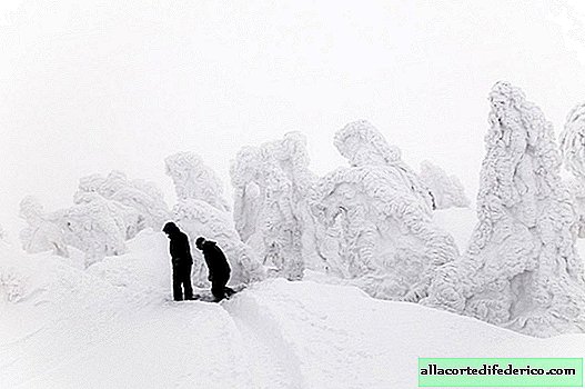 Tam, kde je 8 metrov snežná dráha: 10 z najviac zasnežených miest na našej planéte