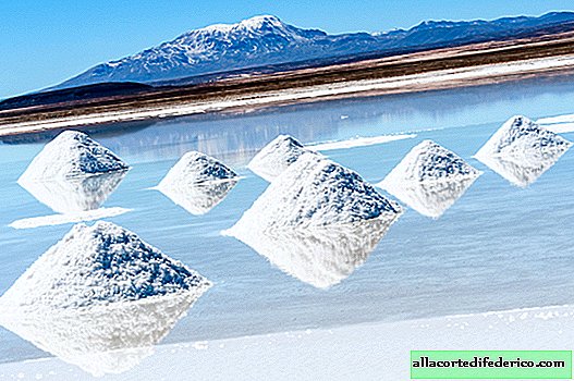 Wo Sie nach den magischsten Landschaften suchen können: 10 der schönsten Salzwiesen auf unserem Planeten