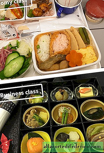 10 pictures of how the food in economy class differs from the first class of different airlines