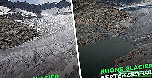 The most scary and sad # 10YearChallenge: what happened to our planet in 10 years