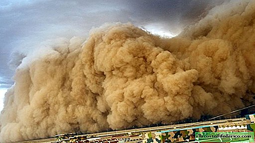 11 Fotos der unglaublichsten Sandstürme, ähnlich dem nahenden Weltuntergang