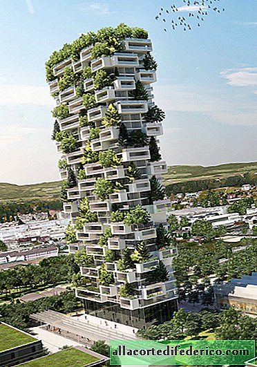 En Suisse va construire une maison d'habitation de 117 mètres, couverte d'arbres