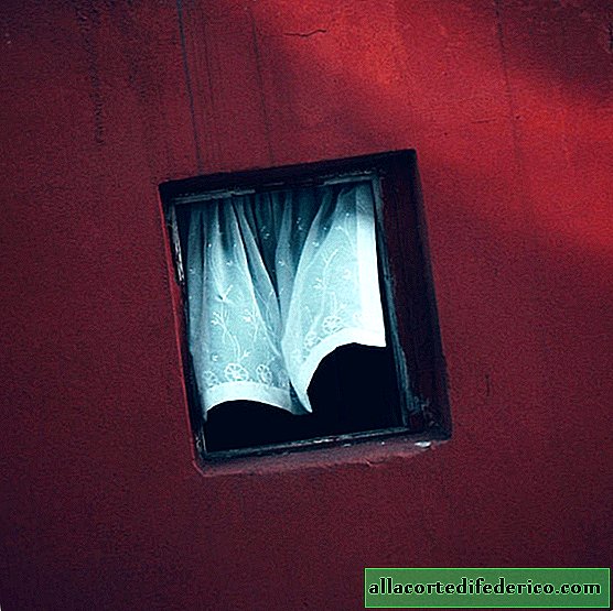 Cuộc sống của một cửa sổ duy nhất: một nhiếp ảnh gia ở Istanbul đã chụp một cửa sổ trước căn hộ của mình trong 12 năm