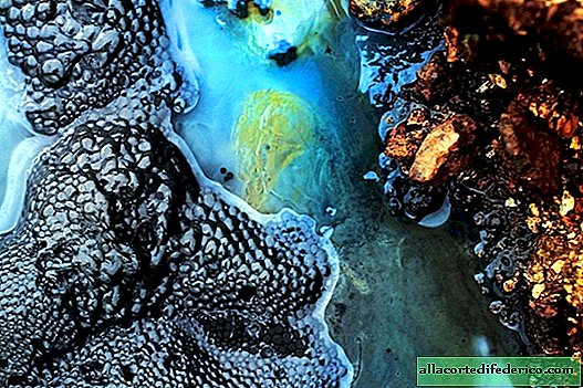 Alien IJsland: 12 close-upfoto's van warmwaterbronnen