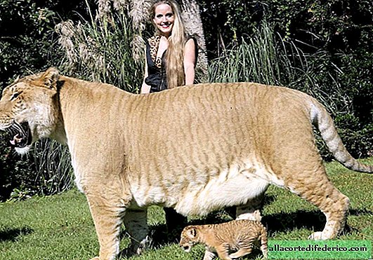12 animales gigantes que solo parecían tener una pesadilla
