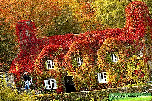 12 shots proving that autumn decorates our world