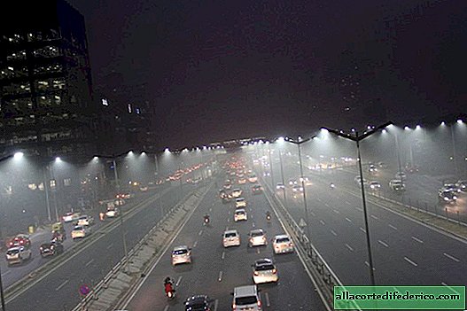 뉴 델리를 휩쓸고 치명적인 스모그의 12 무서운 사진