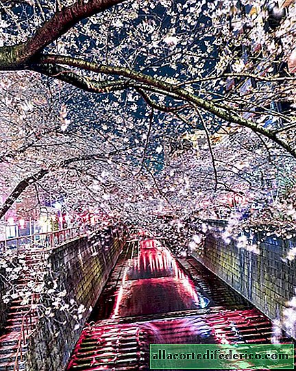 Takashi Komatsubara'nın muhteşem fotoğrafıyla Japonya'nın 13 büyülü çekimi