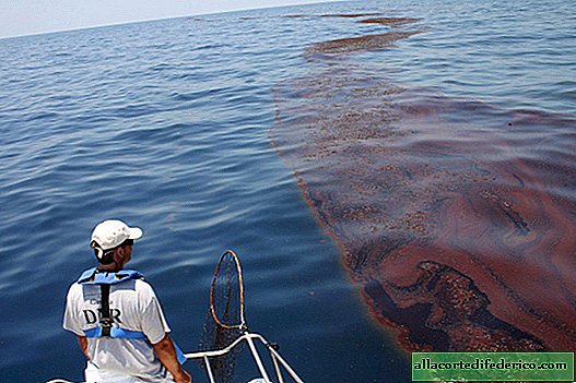 The American company for 14 years hid a colossal oil leak in the Gulf of Mexico