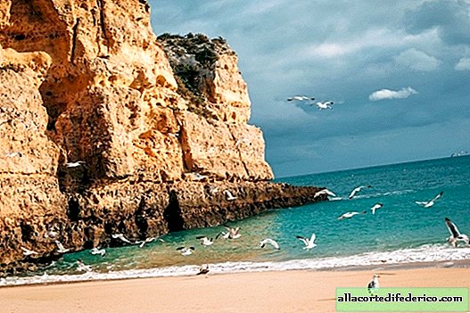 15 magnifiques photos du Portugal magique et ensoleillé