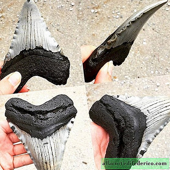 16 of the most incredible finds found on beaches by ordinary people