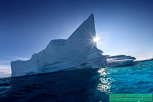 16 لقطات مذهلة من غرينلاند البارد والبرد