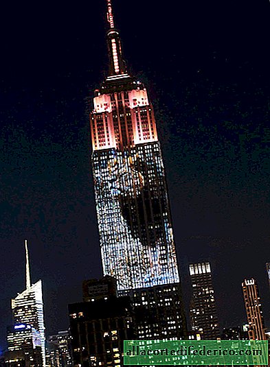 Leo Cecil und Projektionen von 160 anderen Arten gefährdeter Tiere auf dem Empire State Building