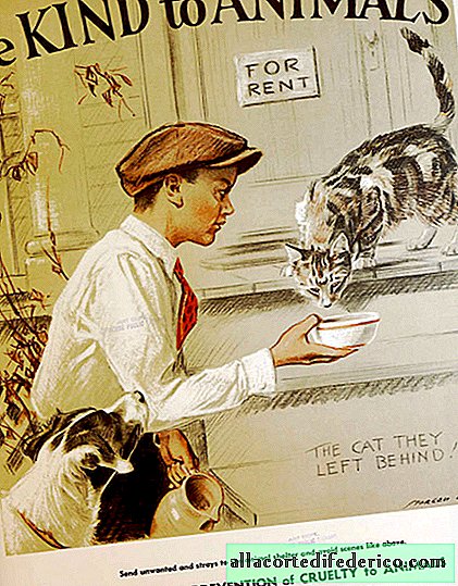 17 posters of the Great Depression about kindness and care for animals