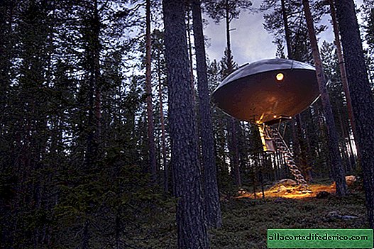 17 pictures of Treehotel - the most unusual place to relax