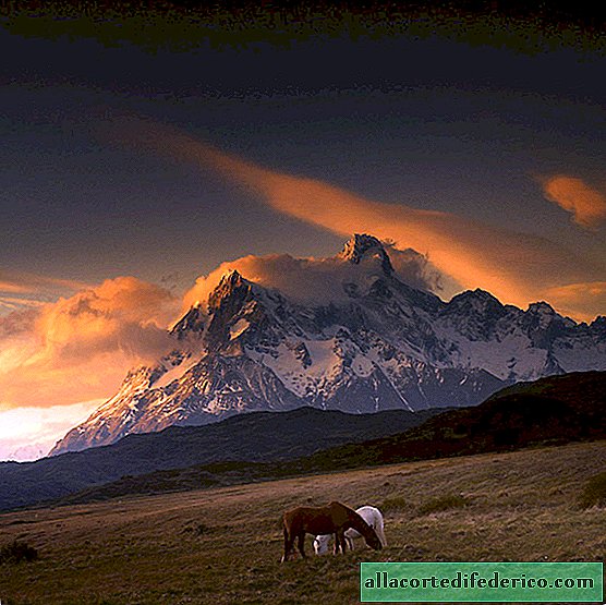 ในตอนท้ายของโลก: 18 ภาพที่สวยงามของ Patagonia