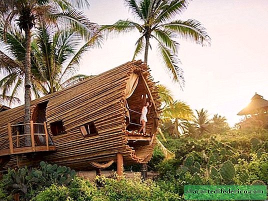 The 18 most incredible tree houses you want to find yourself in right away