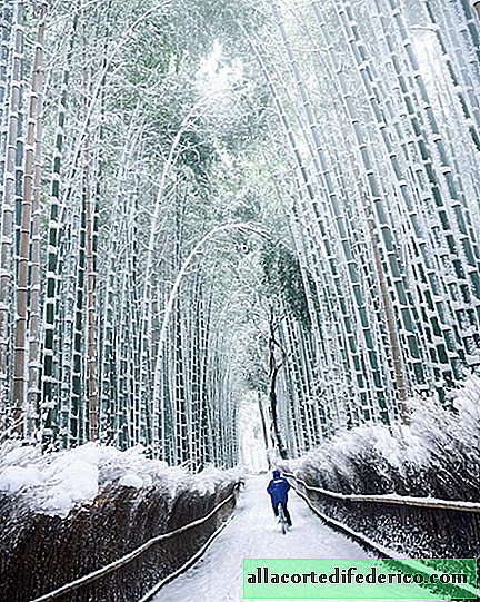 20 of the coolest photos with which we say goodbye to last winter