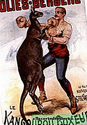 Nyrkkeily-kenguru 1900-luvun valokuvissa
