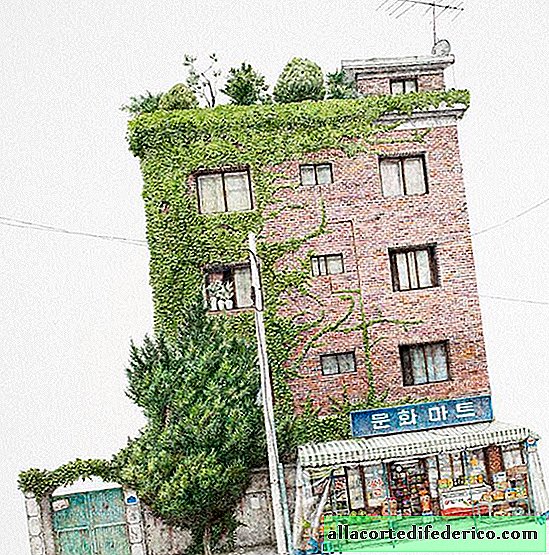 The artist spent 20 years making amazing sketches of small shops in South Korea.