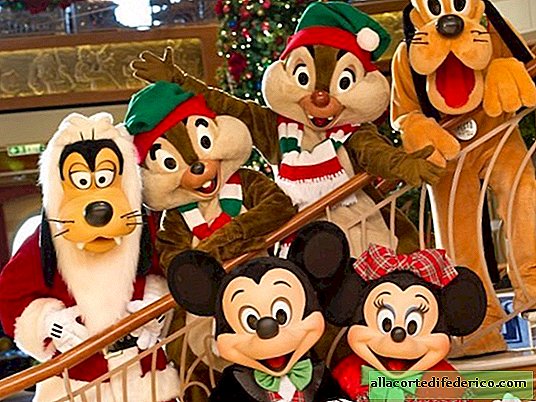 20 foto's waaruit blijkt dat je voor de kerstvakantie naar Disneyland moet gaan
