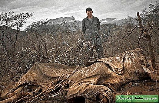 21 traurige Fotos beweisen, dass wir die schrecklichsten Tiere der Welt sind