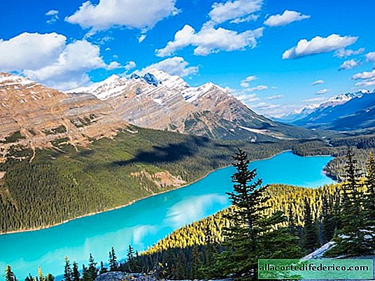 23 ongelooflijke foto's om je op reis naar Canada te krijgen