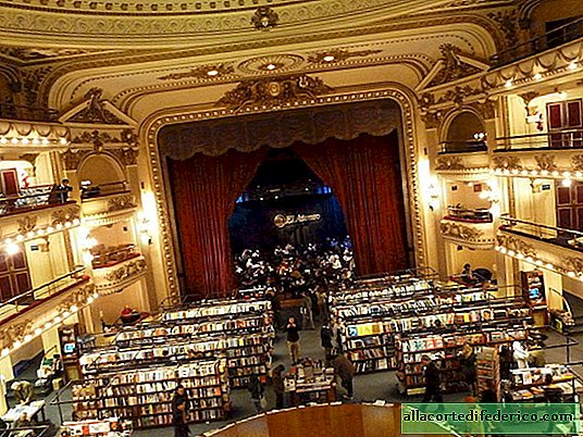 26 des librairies les plus magiques du monde