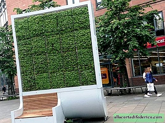 Des bancs installés à Londres pour purifier l'air et remplacer 275 arbres
