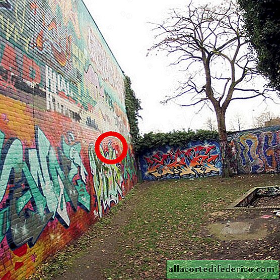 En los Países Bajos, comenzaron a limpiar la pared en la que se pintó el graffiti durante 30 años.