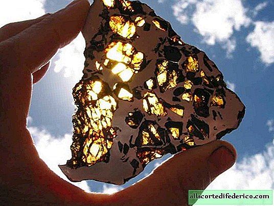 Fukan - a legmágikusabb meteorit, amelyet a Földön találtak, 4,5 milliárd éves