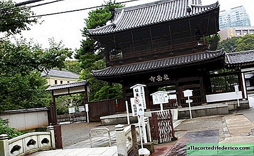 Japonsko: miesto, kde je pochovaných 47 ronínov
