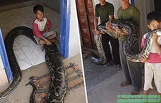 How a little boy made friends with a 5-meter python and made him his pet