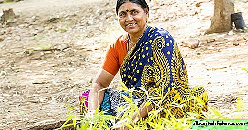 Inwoners van India plantten 50 miljoen bomen in slechts één dag!