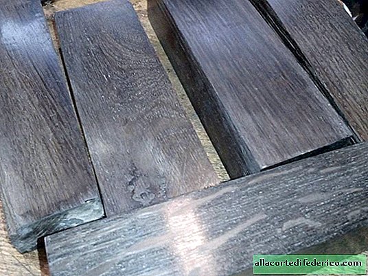 The paradox of stained wood: why it does not rot in the water and can last 500 years