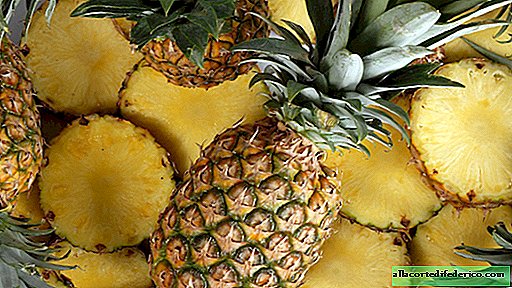 Pineapple: 7 interesting facts about your favorite fruit