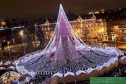 Den magnifika julgranen i Vilnius är dekorerad med 70 000 glödlampor och 900 leksaker