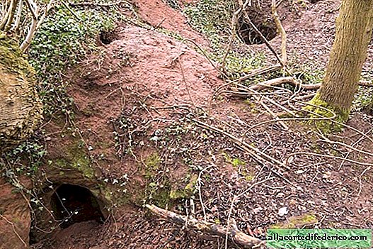 This rabbit hole is the entrance to the 700-year-old secret network of caves built by the Templars!