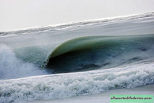 ألقِ نظرة على ما كان أبرد فصل شتاء خلال الثمانين عامًا الماضية قد فعله المحيط!