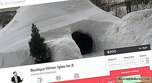 Tijdens de sneeuwval bouwde de man een naald in Brooklyn en probeerde deze door te geven aan Airbnb