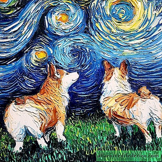 American draws wonderful paintings about dogs in the style of Van Gogh