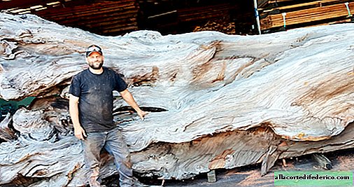 American artist turned a giant fallen tree into a stunning sculpture