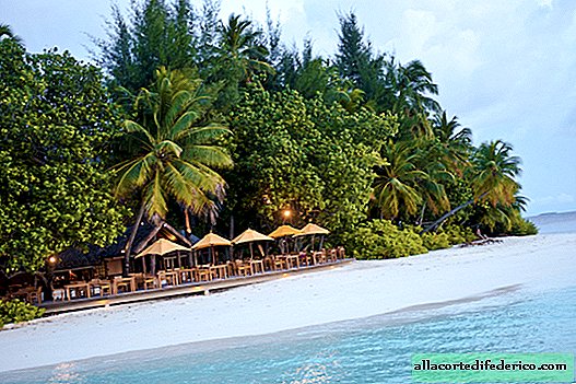 Angsana Ihuru - فندق غوص مريح في جزيرة صغيرة في وسط المحيط الهندي