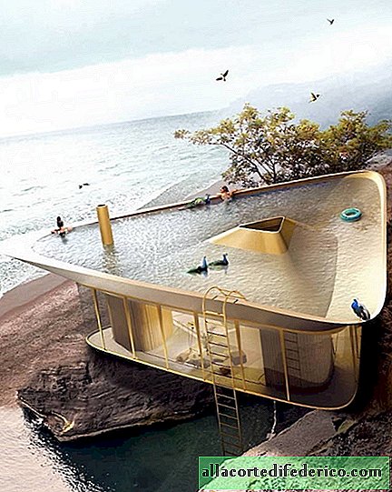 Arkitekter opprettet et prosjekt av et moderne sommerdrømmehus med takbasseng